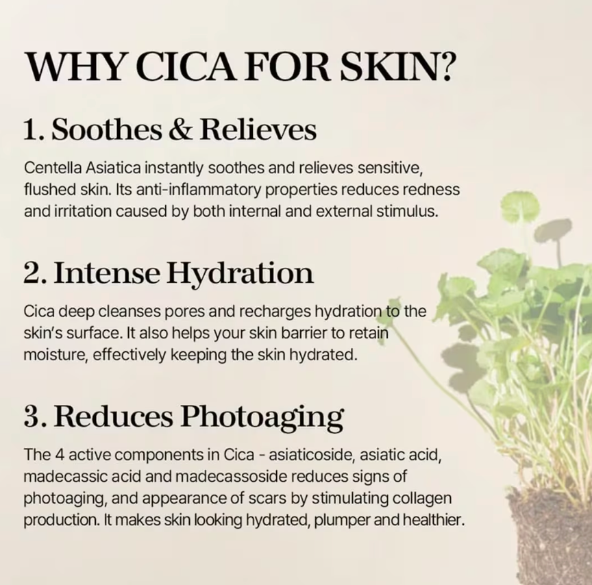 Mixsoon Soondy Centella Asiatica Essence (100mL)